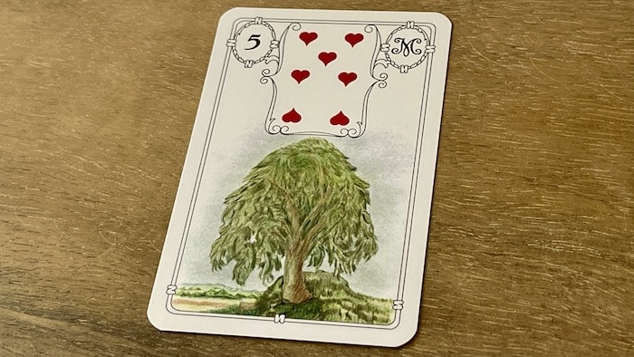 Carte 5 - Arbre du Petit Lenormand