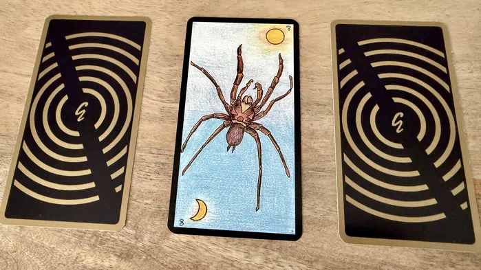 Une araignée avec le soleil en haut et la lune en bas, illustration de la carte 8 de l'Oracle Gé : L'Araignée.