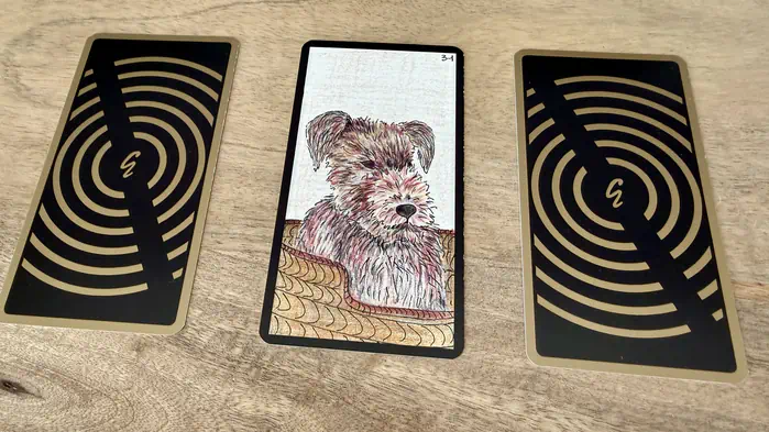 Un chien, illustration de la carte 31 de l'Oracle Gé : Le Chien.