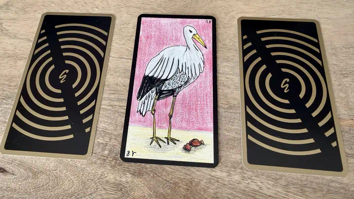 Une cigogne, illustration de la carte 18 de l'Oracle Gé : La Cigogne.