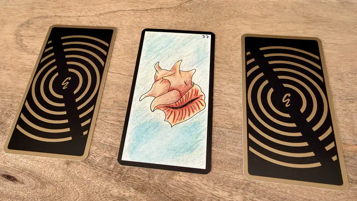 Un coquillage exotique, illustration de la carte 37 de l'Oracle Gé : Le Coquillage.