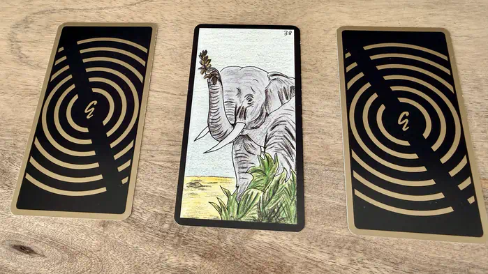 Un éléphant trompe en l'air, illustration de la carte 38 de l'Oracle Gé : L'Éléphant.