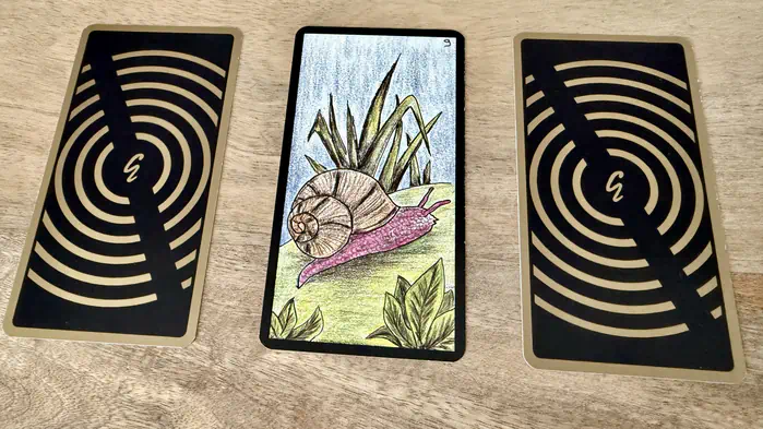 Un escargot, illustration de la carte 9 de l'Oracle Gé : L'Escargot.