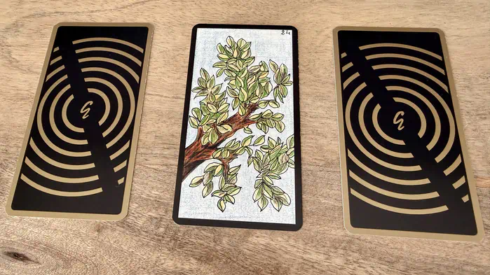 Une branche d'arbre très feuillue, illustration de la carte 24 de l'Oracle Gé : L'Été.