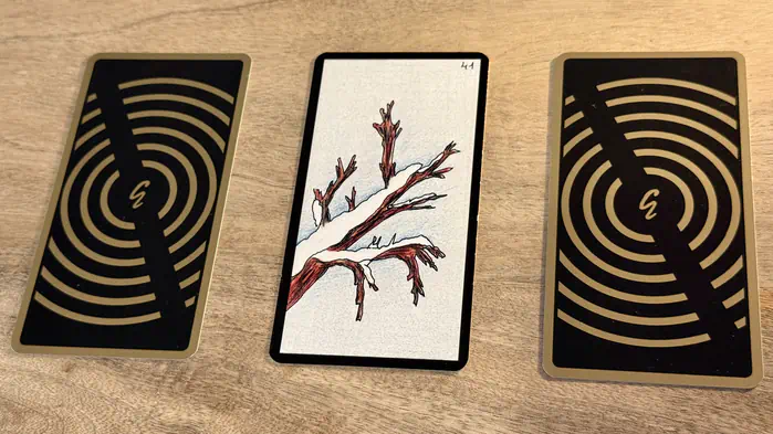 Une branche d'arbre recouverte de neige, illustration de la carte 41 de l'Oracle Gé : L'Hiver.
