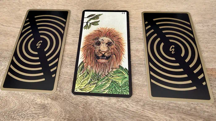 Un lion de face, illustration de la carte 11 de l'Oracle Gé : Le Lion.