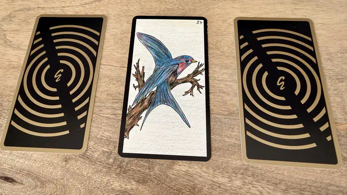 Un oiseau sur une branche, illustration de la carte 27 de l'Oracle Gé : L'Oiseau.