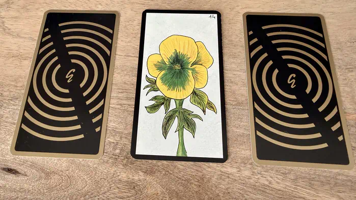 Une pensée (fleur), illustration de la carte 14 de l'Oracle Gé : La Pensée.