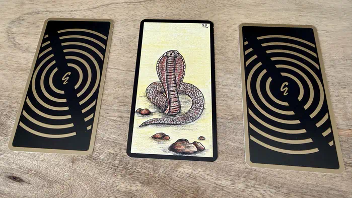 Un cobra, illustration de la carte 32 de l'Oracle Gé : Le Serpent.